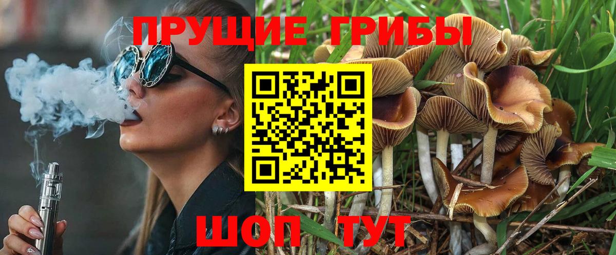 Баксан  Псилоцибиновые грибы MAGIC MUSHROOMS  цена наркотик  Вход с VPN 